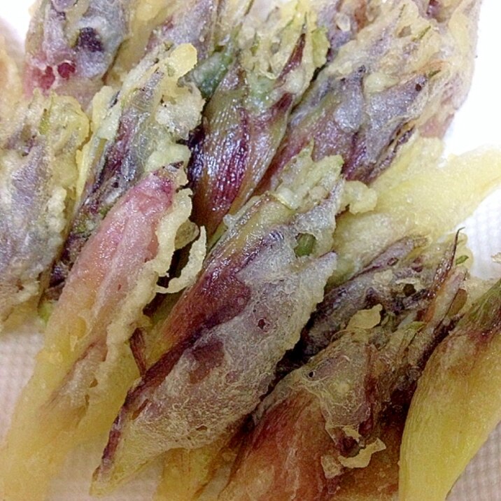 大人の味 みょうがのてんぷら レシピ 作り方 By Uknowmaxtvxq 楽天レシピ 大人の味 みょうがのてんぷら レシピ 作り方 By Uknowmaxtvxq 楽天レシピ